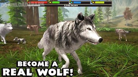 ultimate wolf simulator emergent