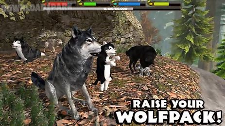 ultimate wolf simulator emergent