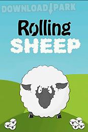 rolling sheep