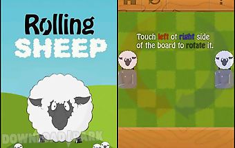 Rolling sheep