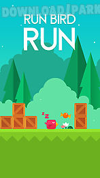 run bird run