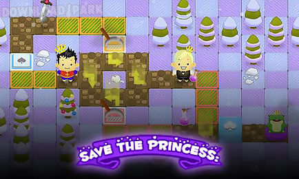 save the princess