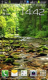 wonderful forest river