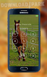 horse password lock screen