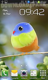 cute bird