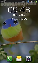 cute bird