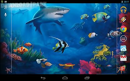 interactive shark